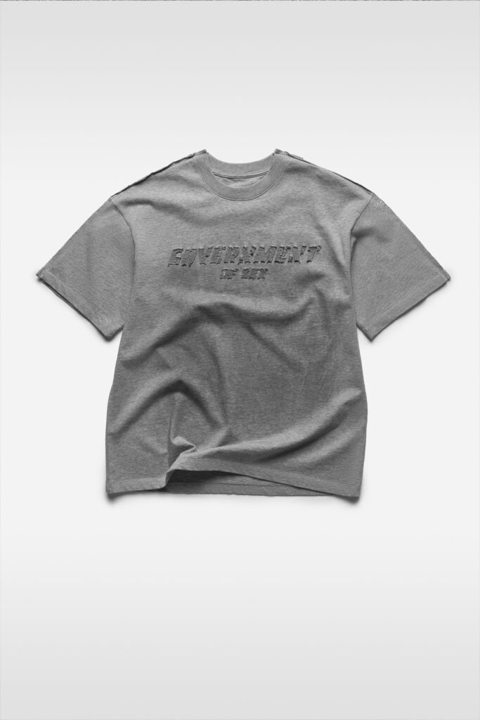 Футболка GOVERNMENT grey, серый